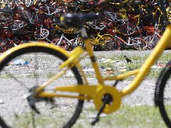 上海共享單車“大墓地”，車輛堆積如山