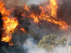 洛杉磯爆發(fā)史上最大山火，宣布進(jìn)入緊急狀態(tài)