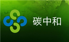 “碳中和”不等同于供給側(cè)改革