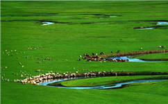 一季度內(nèi)蒙古對(duì)東盟國家出口鋁材達(dá)1萬噸