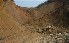 幾內(nèi)亞政變領(lǐng)導(dǎo)人承諾“將遵守采礦協(xié)議所有義